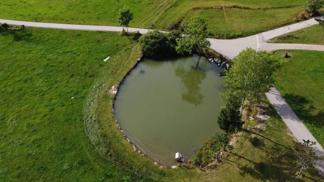 Ferienhof Kienbronnerhof شيلتاخ المظهر الخارجي الصورة
