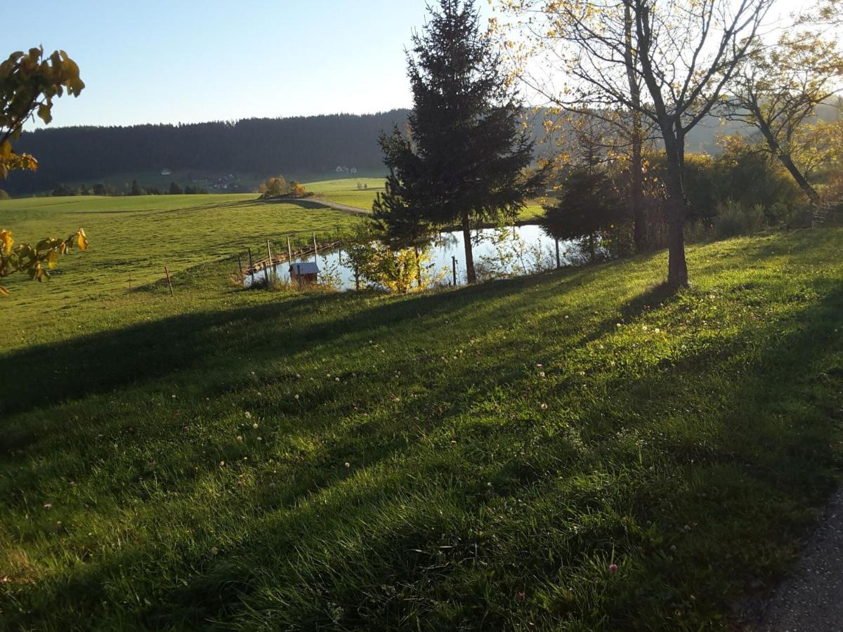 Ferienhof Kienbronnerhof شيلتاخ المظهر الخارجي الصورة