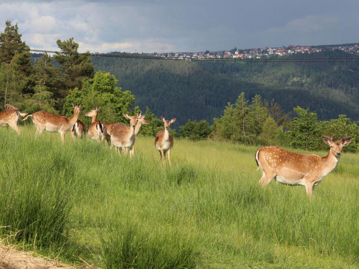 Ferienhof Kienbronnerhof شيلتاخ المظهر الخارجي الصورة